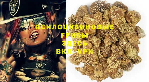 гашик Алексеевка